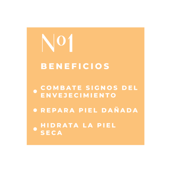 Nº1 Éternel • Rose Musquée + Jojoba + Vitamine E - Imagen 2